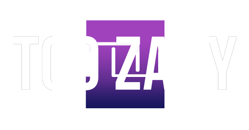 TooZany Logo